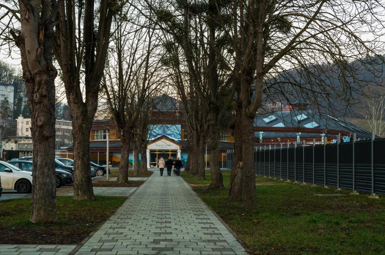 Apartman Dada Krapinske Toplice Dış mekan fotoğraf