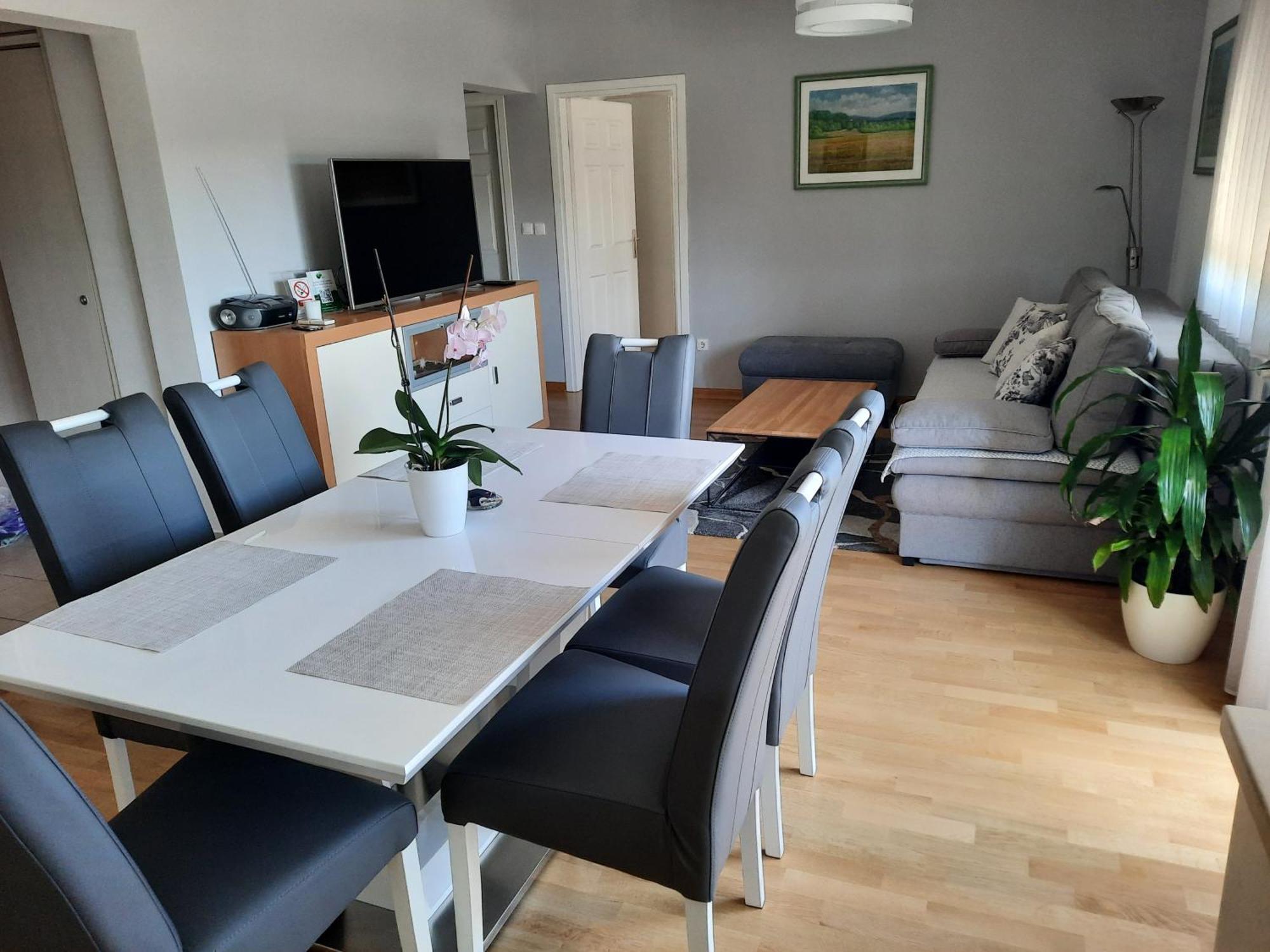 Apartman Dada Krapinske Toplice Dış mekan fotoğraf
