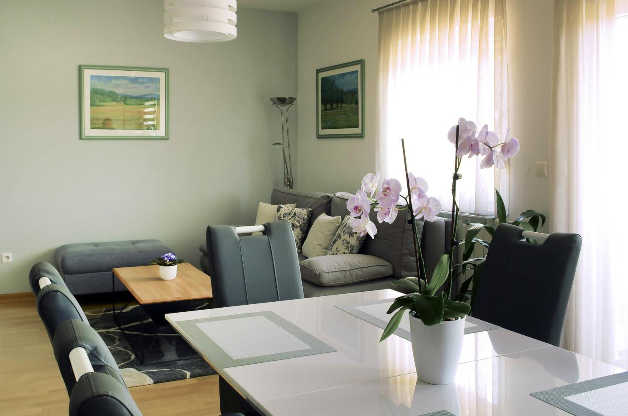Apartman Dada Krapinske Toplice Dış mekan fotoğraf