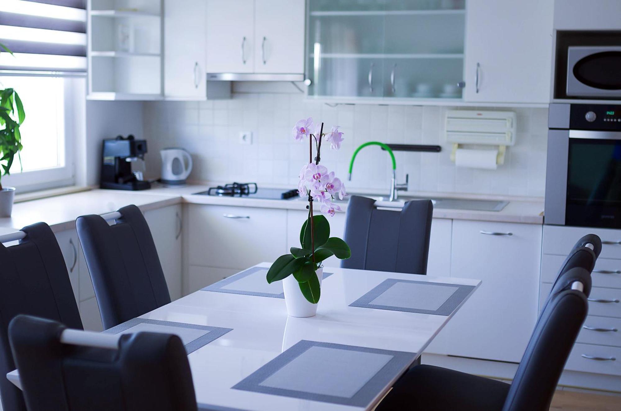Apartman Dada Krapinske Toplice Dış mekan fotoğraf